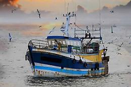 Il corso per i pescatori professionali sui temi della blue economy