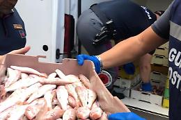 Sciacca,  sequestrati 30 kg di pesce irregolare