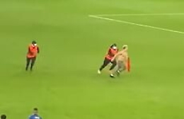 Italia Inghilterra, invasore di campo preso dopo vari tentativi