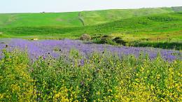 C'è una "Strada romantica" da scoprire anche in Sicilia