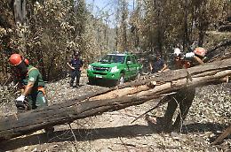 Incendi, 25 carabinieri forestali in Sicilia da altre regioni