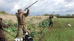 Caccia, la Regione corregge il tiro ed emana un nuovo calendario: da sabato si spara