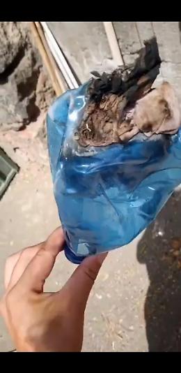Bottiglia incendiaria lanciata dentro Villa Curia: 50 gatti salvati dalle fiamme