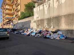 Rifiuti a Catania: via Savasta odore nauseabondo e topi