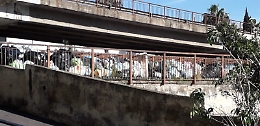 "Catania sotto assedio spazzatura"