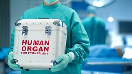 Donazione degli organi, le luci e le ombre della Sicilia: regione tra le ultime, Geraci Siculo e Marianpoli tra i primi