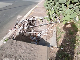 Catania: "Dopo il muro della vergogna, il marciapiede della vergogna"