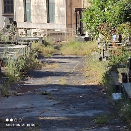 Cimitero di Catania: "I nostri cari riposano in un luogo abbandonato"