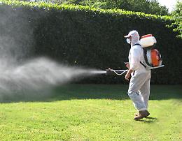 Al via la disinfestazione straordinaria