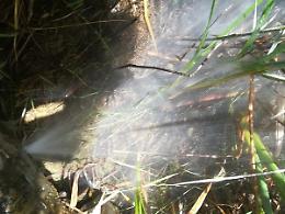 Nuova rottura lungo la condotta, la cittadina rimane a secco