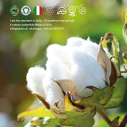 Ov, accordo con l’Azienda Santiva di Pollina: produrrò cotone bio in Sicilia
