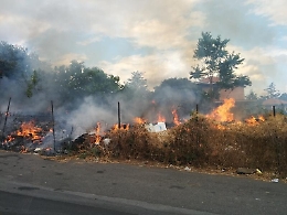 Incendi, fiamme divampate da terreni incolti: 5 condanne