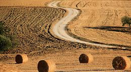 Beni culturali,  76 mln di euro per progetti di rigenerazione del paesaggio rurale