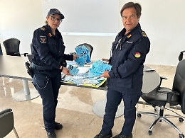 Aeroporto di Palermo, 100 pass per disabili falsi sequestrati in quattro mesi