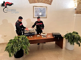 Palermo, armi e droga a Borgo Nuovo: due arresti