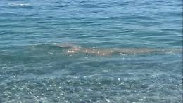 Mascali, nel mare di Fondachello spunta una macchia marrone: turisti in fuga