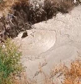 Catania: strano fenomeno nella voragine di via Castronuovo