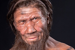 I Neanderthal che non ti aspetti: cucinavano cervi e tartarughe