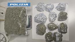 Catania, il blitz a casa del pusher: trovati 1,5 kg di marijuana e gli "attrezzi" del mestiere