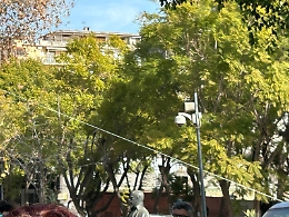 La sicurezza a Catania dopo lo stupro alla Villa: poche telecamere attive in città