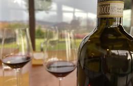 Masterclass, mostre e libri: tutto sul Cerasuolo