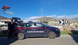 Carabinieri a Bronte bloccano trasporto di bestiame: rimorchio non omologato e vitello non tracciato