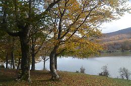 Cucina,  vigneti e relazioni umane: perché la Sicilia è la meta enogastronomica più ambita del 2025
