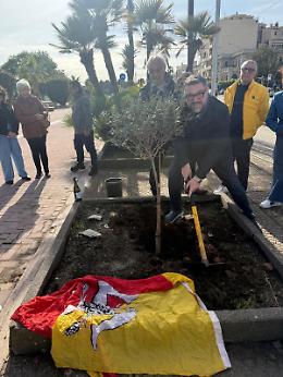 Più verde per Messina: successo alla Passeggiata a Mare di "Alberi per il Futuro"