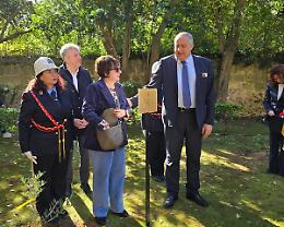 Un ulivo e una targa per ricordare le vittime dell'incidente aereo del 1978 a Punta Raisi