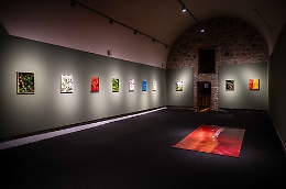 Ecosistemi connessi: dialogo con Aterraterra al Museo Riso