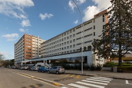 Protesta per le borse di studio: &laquo;Oltre ottomila esclusi&raquo;