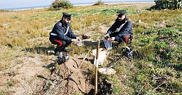 L'ombra della 'Ndrangheta nel traffico dei tombaroli, il linguaggio in codice: «Finocchi, caffè e motosega» 