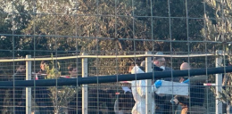 L'omicidio dell'allevatore a Partinico, la vittima conosceva il killer: l'ipotesi dell'agguato mortale