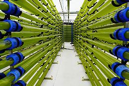 A Catania le aziende di oggi che scrivono il domani: dalle alghe per gli integratori al robot che raccoglie arance, pere e kiwi