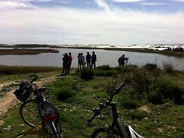 Gela, l'emergenza al Biviere: il lago si va prosciugando, servono interventi urgenti