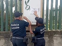 Caltagirone, sequestrato un impianto per la raffinazione dell’olio di oliva