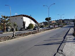 San Cataldo, proposto un regolamento per la raccolta delle olive: «Sono dei semi di comunità»