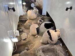 Gela, problemi della necropoli di via Di Bartolo: interviene l'amministrazione comunale