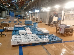 Viaggio al Maas di Catania, ortofrutta e pesce fresco ai privati: esperimento che piace ma con riserva