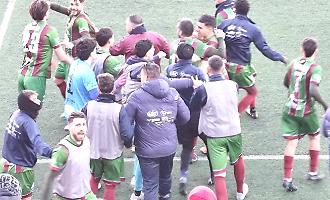 La gioia dei verdeamaranto