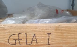 Il ritorno a casa dei reperti: Gela riceve le prime duecento cassette in vista della riapertura del museo