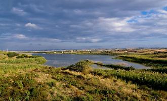 Riserva Biviere di Gela: questa volta si bonifica davvero o sar&agrave; l'ennesimo bluff?