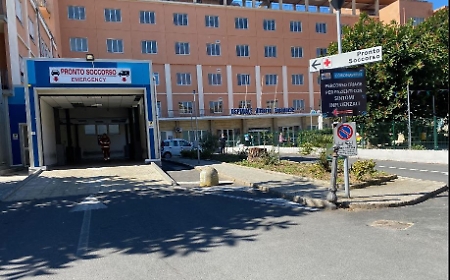 I botti di Capodanno spaventano un pitbull che azzanna un ragazzo