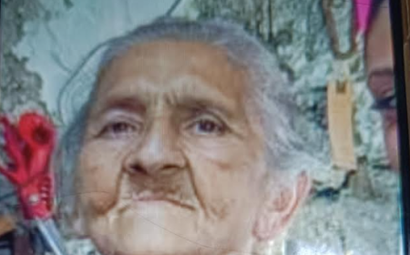 L'anziana scomparsa