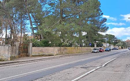 Parco Dubini: ramo caduto riapre il dibattito sulla sicurezza e fa svanire le speranze di una riapertura