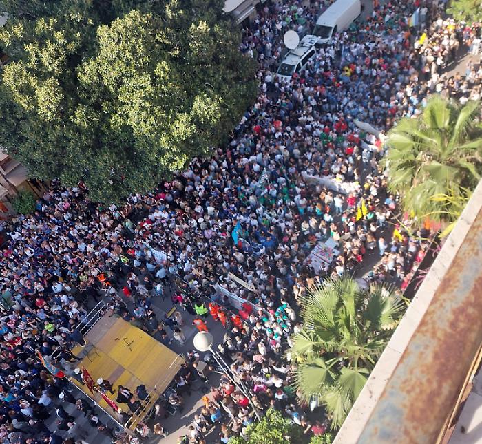 Strage di Capaci, il 23 maggio senza corteo ufficiale: la Fondazione Falcone all'albero, ma i giovani lanciano il loro piano