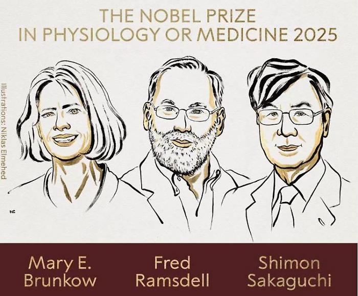 Scoperta sulle sentinelle del sistema immunitario: il Nobel 2025 a Brunkow, Ramsdell e Sakaguchi
