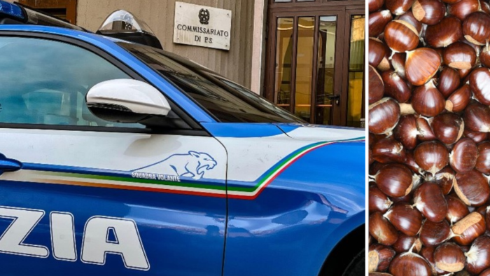 Beccati con le buste piene: due giovani di Biancavilla denunciati per furto di castagne ad Adrano