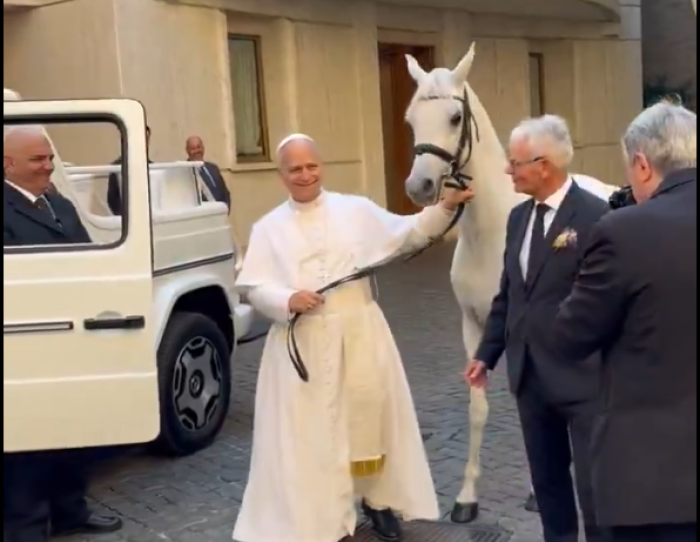 Ecco Proton, il purosangue arabo che una scuderia polacca ha donato a Papa Leone XIV  