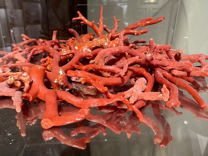 Apre a Sciacca il Museo del Corallo Nocito